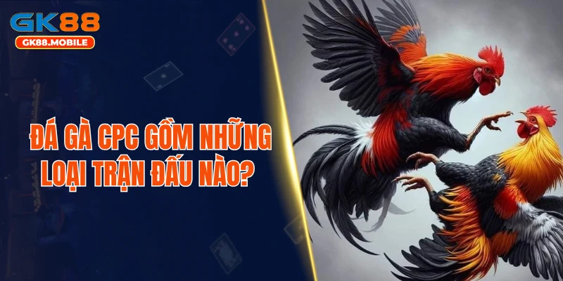 Đá gà CPC gồm những loại trận đấu nào? 