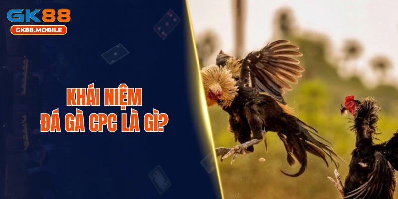 Khái niệm đá gà CPC là gì? 