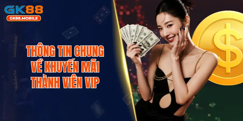 Thông tin chung về khuyến mãi thành viên VIP
