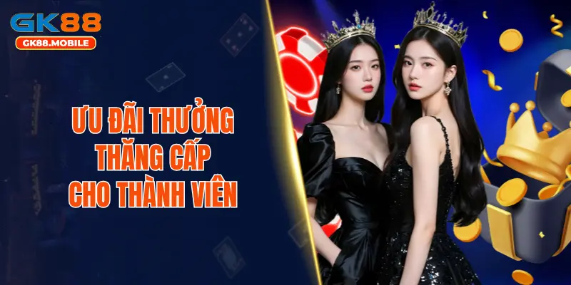 Ưu đãi thưởng thăng cấp cho thành viên